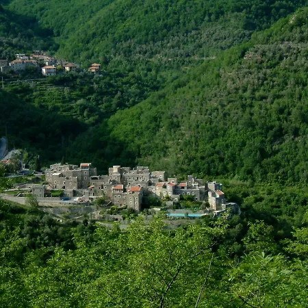 Olivo * CASTELBIANCO