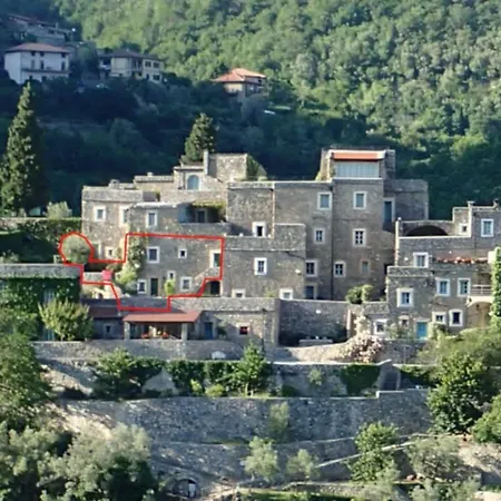 Olivo شقة