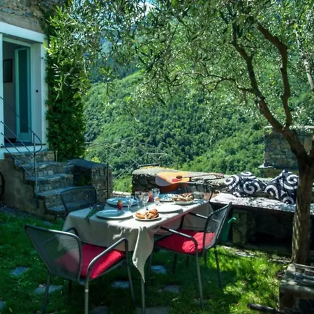 Apartment Olivo CASTELBIANCO
