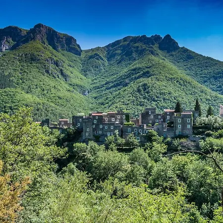 Olivo